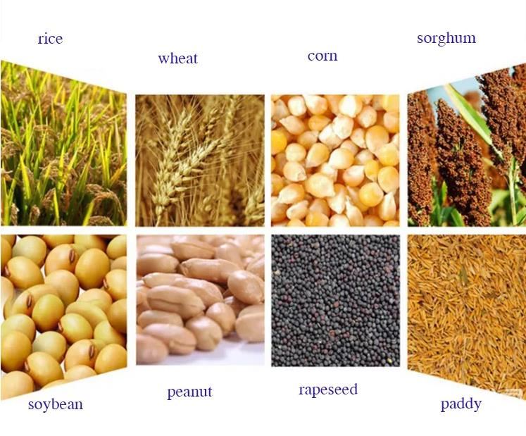 grain dryer