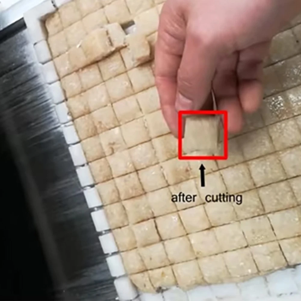 after-cutting2 after-cutting2